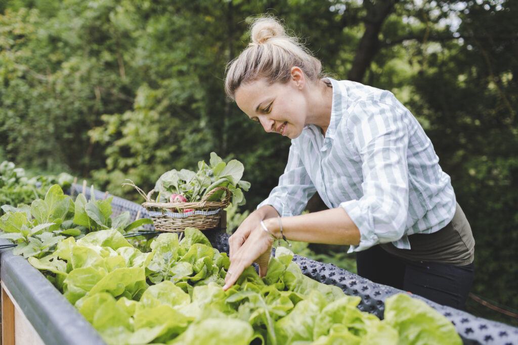 gardening tips for beginners at home