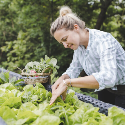 gardening tips for beginners at home